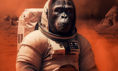 Harambe Landing on Mars